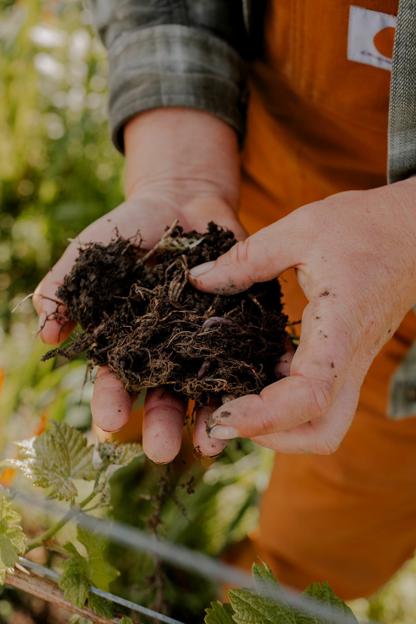 Rimapere spring2025 web 1944